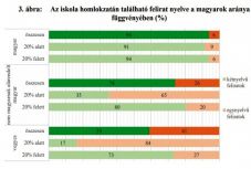 Felmérés: így érvényesülnek a nyelvi jogok az erdélyi iskolákban