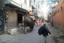 Erdélyből Tibetbe, Kőrösi Csoma Sándor nyomában: 175. nap – február 22.
