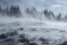 Szélriadó van érvényben Románia nagy részén, több iskolát bezártak