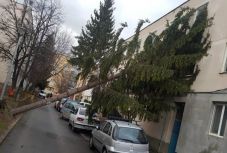 Fákat döntött ki a szélvihar Háromszéken