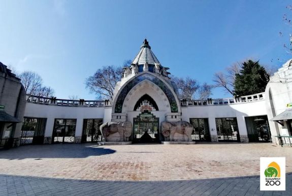 Öt óriásvidra kölyök született a Fővárosi Állatkertben Budapesten