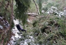 Viharkárok: a kirándulók kedvelt útvonalai váltak járhatatlanná Hargita megyében