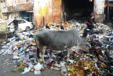 Erdélyből Tibetbe, Kőrösi Csoma Sándor nyomában: 191. nap – március 9.