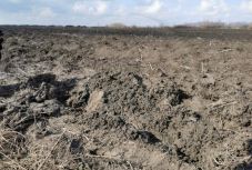 Mezőn, két barázda között találták meg az eltűnt lány holttestét