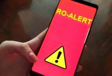 Medvét kergettek el az éjszaka a csendőrök Hargita megyében