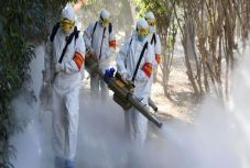 Rostás-Péter István: Fonákja az vírusnak 