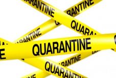 Bartha Réka: Kegyelmi idő