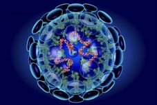 Nem vonult házi karanténba a Kolozs megyei férfi, megbüntették