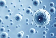 Influenzajárvány a koronavírus árnyékában: mostanra látszik kicsúcsosodni a szezon