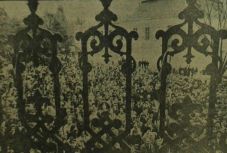 Évszázadok hírei: erdélyiek tízezrei ünnepelték 1990-ben az első „szabad” március 15-ét