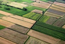 Felfüggesztik a területalapú támogatási kérések leadását az APIA-nál