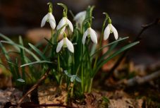 Ilyen időjárásra számíthatunk a következő két hétben