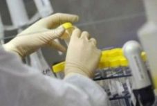 A sertéspestis azonosításra használt műszerrel kimutatható a koronavírus