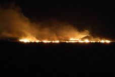 Lángol a határ a tarlóégetések miatt Csíkszereda közelében