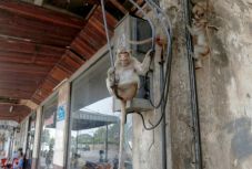 Szarvasok, mosómedvék és más vadak kószálnak a kiürült városok utcáin