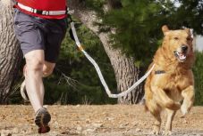 Belügyminiszter: mégsem kell lakhelyelhagyási nyilatkozat a testmozgáshoz és kutyasétáltatáshoz