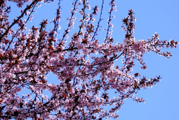 Húsvétig egyre kellemesebb, melegebb idő várható