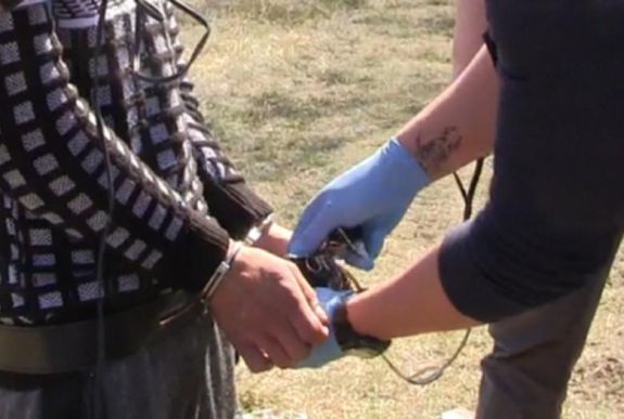 Baltával megölt két embert egy 18 éves román állampolgár Nagykőrösön