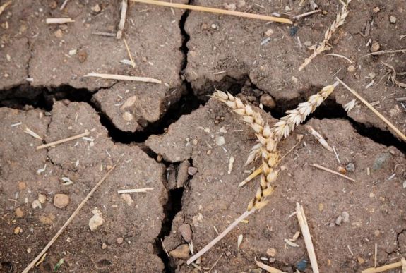 Miniszter: az extrém szárazság miatt drágulás várható