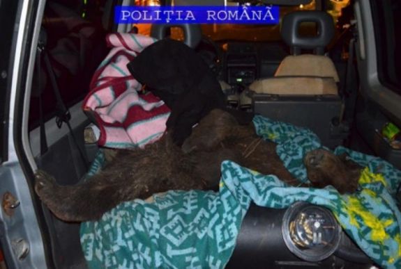 Medvetetemet találtak egy Hargita megyei település közelében