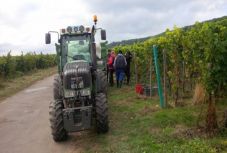 Szigorú korlátozásokkal, de engedik az idénymunkások beutazását Németországba