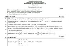 Magyar nyelvű tételeken is gyakorolhatnak a végzősök