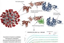 Amerikai szakember: megvan a koronavírus lehetséges ellenszere