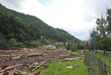 Felfüggeszthetik a fakitermelést a szükségállapot idejére