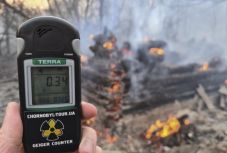 Harmadik napja ég egy erdős terület a csernobili tiltott övezetben