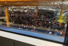 Hatalmas tömeg verődött össze a kolozsvári repülőtér mellett