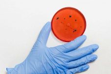 Koronavírus Romániában: meghaladja a 300-at az áldozatok száma