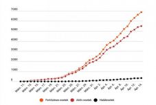 Koronavírus Romániában: 246 új esetet jegyeztek, 6879-re nőtt az igazolt fertőzöttek száma