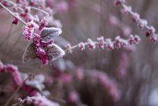 Sárga riasztást adtak ki kedd éjjelre a meteorológusok