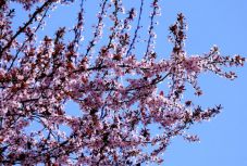 Időjárás: itt a kéthetes előrejelzés