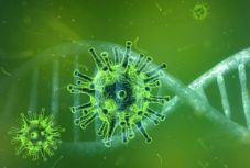 Koronavírus Romániában: 498-ra nőtt a halálos áldozatok száma