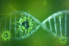 WHO óva int a túl korán engedélyezett külföldi utazásoktól