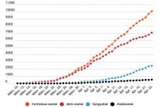 Koronavírus Romániában: 386 új esetet jegyeztek, meghaladta a 10 ezret az igazolt fertőzöttek száma