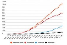 Koronavírus Romániában: először csökkent a járvány kezdete óta az aktív fertőzöttek száma