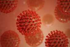 Szlovákiában a nyár végén lehet a járvány csúcspontja