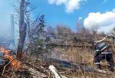 Nagy erőfeszítések árán sikerült megfékezni a tarlótüzet Maroshévíz közelében
