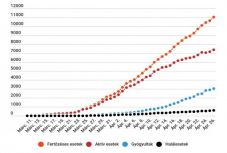 Koronavírus Romániában: 401 új esetet jegyeztek, meghaladja a 11 ezret az igazolt fertőzöttek száma