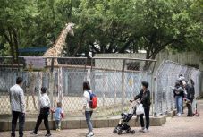 Elhagyta a kórházat az utolsó fertőzött páciens a közép-kínai Vuhanban