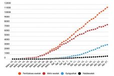 Koronavírus Romániában: 303 új eset van, 11339 igazolt fertőzöttet regisztráltak eddig