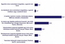 Erdélystat: a magyar diákok alig felének elérhetők az interaktív digitális tanítási módszerek