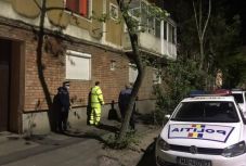 Gyilkossággal vádolják a leszúrt kilencéves aradi gyerek anyját