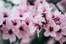 Kéthetes előrejelzés: felmelegedéssel indul a május