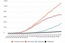 Koronavírus Romániában: nagyot esett az aktív fertőzöttek száma, több mint 4000-en meggyógyultak 