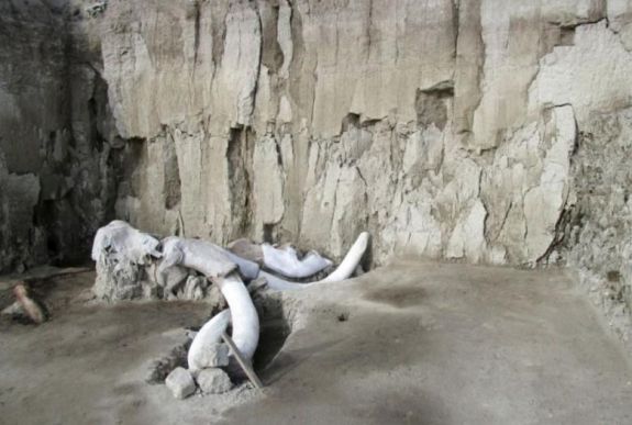 Több mint 60 mamut maradványaira bukkantak Mexikóban