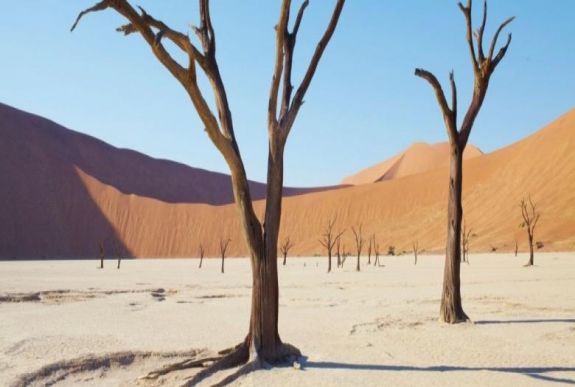 Bíró Béla: Az érzelmi közelség kora?