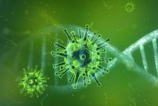 Emberi spermában is kimutatták a koronavírust